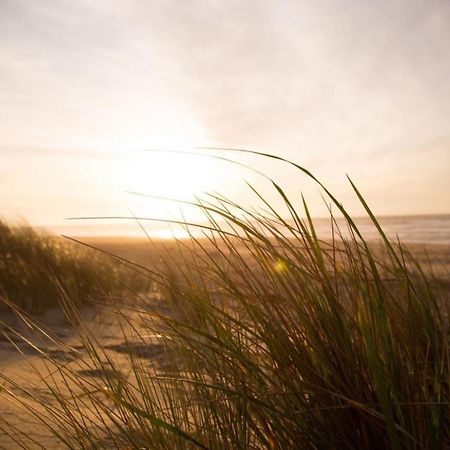 Grosse Nordseewelle Ohne Hund Norden Exteriör bild