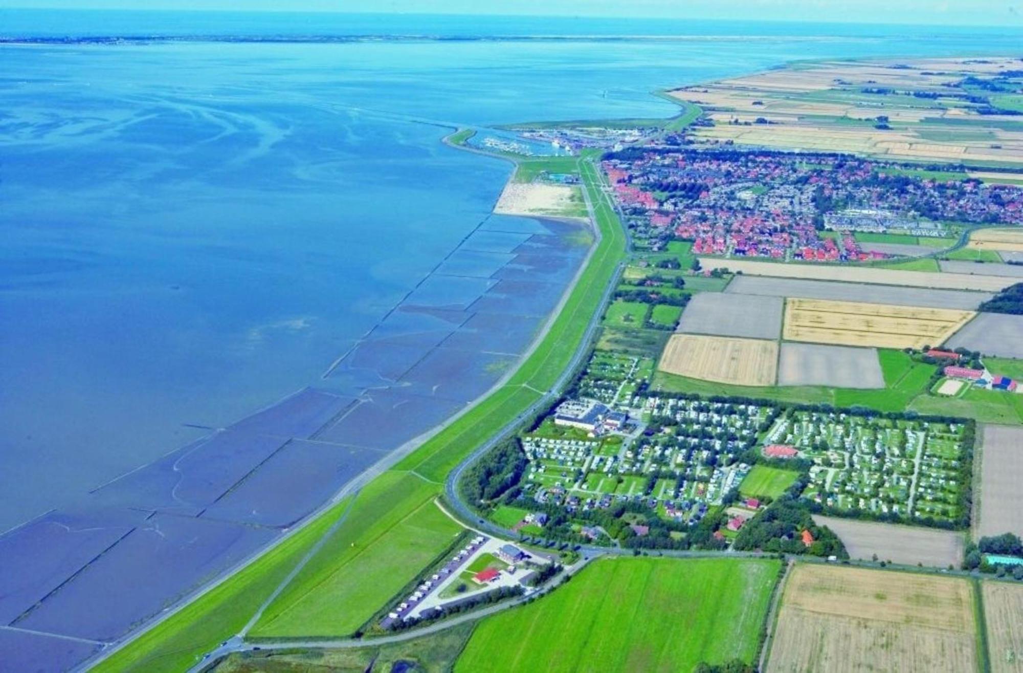 Grosse Nordseewelle Ohne Hund Norden Exteriör bild
