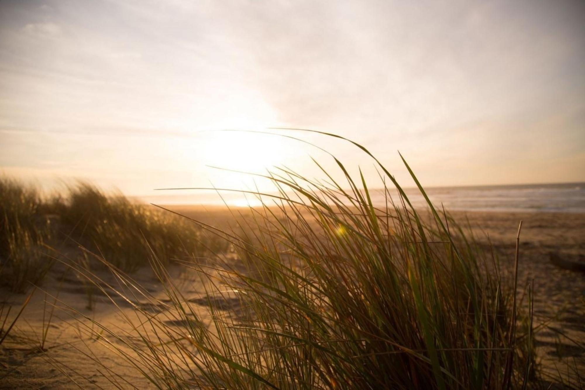 Grosse Nordseewelle Ohne Hund Norden Exteriör bild